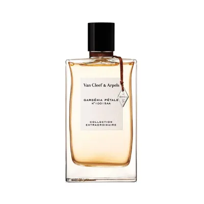 Gardenia Petale