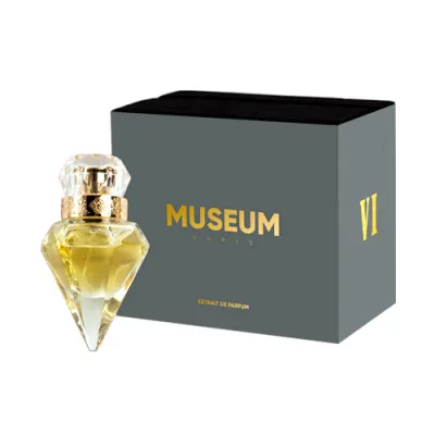 Museum VI